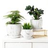 Plant Saucer 6 Pack White 6 Inch Heavy Duty Plastic Tray by UPMCT-5