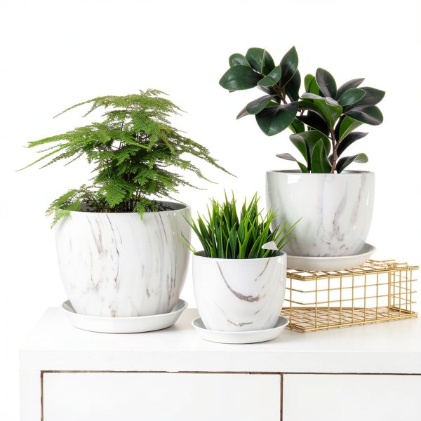 Plant Saucer 6 Pack White 6 Inch Heavy Duty Plastic Tray by UPMCT-5