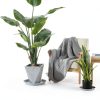 4 Pack Clear Plant Saucer 4 6 8 10 12 14 16 18 20 22 Inch Plant Trays for Pots, Plastic Extra Large Planter Saucers for Outdoors Indoors, Drip Catcher Water Tray for Plants (14 Inch)-3