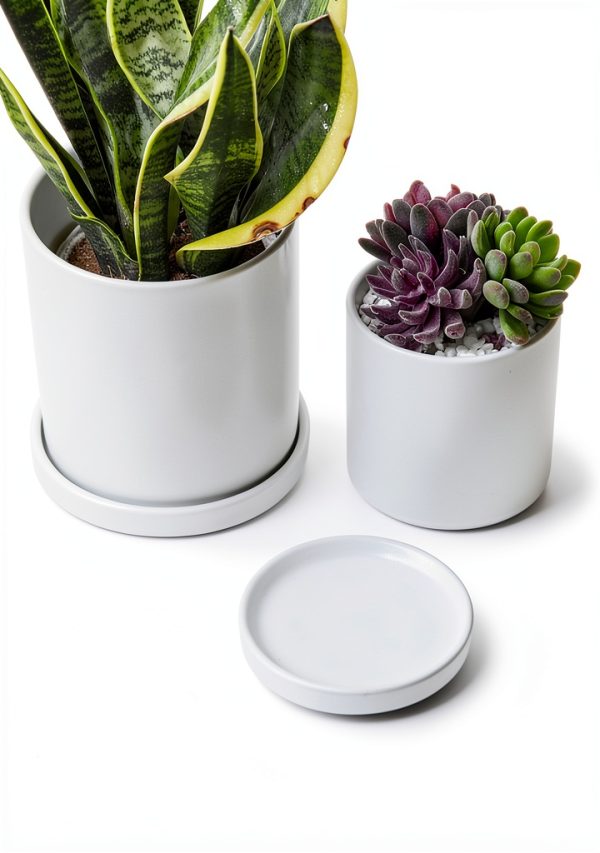 4 inch Matte White Ceramic Plant Saucer (4 Pack)-Ceramic Drainage Tray for Plant Pot-Planter Saucers 4 5 6 7 8 9 10 11 12 13 14 Inch-2