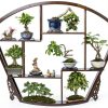 Pinkunn 2 Pcs Bonsai Humidity Tray Drip Tray Plastic Plant Water Catcher Plant Saucers for Indoors and Outdoors Cactus,Succulents,Bonsai Tree,Stone Not Included (7.8 x 5.5 Inch)-4