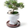 Ceramic Plant Saucer 9 Inch, Round Plant Trays for Indoors/Outdoors, Flower Pot Saucers for Holding Water Drips and Soil, Ceramic Drainage Tray for Plant Pot (Brown)-3