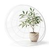 4 Pack Clear Plant Saucer 4 6 8 10 12 14 16 18 20 22 Inch Plant Trays for Pots, Plastic Extra Large Planter Saucers for Outdoors Indoors, Drip Catcher Water Tray for Plants (14 Inch)-4