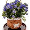 Ceramic Plant Saucer 9 Inch, Round Plant Trays for Indoors/Outdoors, Flower Pot Saucers for Holding Water Drips and Soil, Ceramic Drainage Tray for Plant Pot (Brown)-4