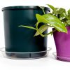 4 Pack Clear Plant Saucer 4 6 8 10 12 14 16 18 20 22 Inch Plant Trays for Pots, Plastic Extra Large Planter Saucers for Outdoors Indoors, Drip Catcher Water Tray for Plants (14 Inch)-5
