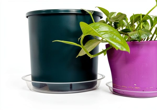 4 Pack Clear Plant Saucer 4 6 8 10 12 14 16 18 20 22 Inch Plant Trays for Pots, Plastic Extra Large Planter Saucers for Outdoors Indoors, Drip Catcher Water Tray for Plants (14 Inch)-5