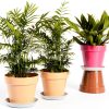 Plant Saucer 6 Pack White 6 Inch Heavy Duty Plastic Tray by UPMCT-1