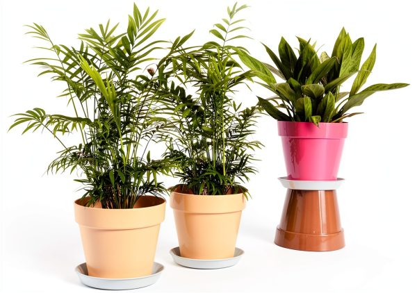 Plant Saucer 6 Pack White 6 Inch Heavy Duty Plastic Tray by UPMCT-1