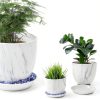 Plant Saucer 6 Pack White 6 Inch Heavy Duty Plastic Tray by UPMCT-2