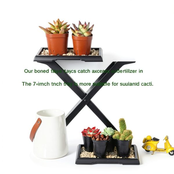 Pinkunn 2 Pcs Bonsai Humidity Tray Drip Tray Plastic Plant Water Catcher Plant Saucers for Indoors and Outdoors Cactus,Succulents,Bonsai Tree,Stone Not Included (7.8 x 5.5 Inch)-3