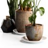 4 Pack Clear Plant Saucer 4 6 8 10 12 14 16 18 20 22 Inch Plant Trays for Pots, Plastic Extra Large Planter Saucers for Outdoors Indoors, Drip Catcher Water Tray for Plants (14 Inch)-6