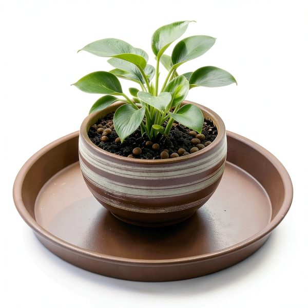 Plant Saucer 10" Brown Heavy-Duty Plastic Tray - TITE 3-Pack-8