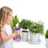 Plant Saucer 6 Inch Clear Plastic 6 Pack by MUDEELA Thicker Stronger-7