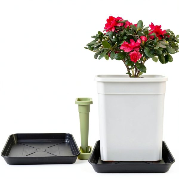 Feyvdzv 6 Inch Square Plant Saucer Tray Durable Plastic 4 Pack Black-6