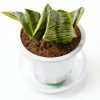 Plant Saucers 24 Pack CATIFLIN Clear Plastic 6-12 Inch Set-3