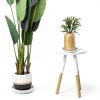 Clear Plant Saucer 5 Inch - FUTUR Plastic Tray Sturdy Water Catcher-2