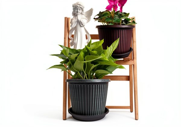 Grjoprt 6 Pack Black Plastic Plant Saucer Tray 6inch Saucers-2