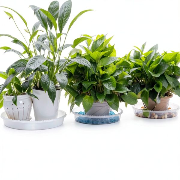 Plant Saucer 6 Inch Clear Plastic 6 Pack by MUDEELA Thicker Stronger-6