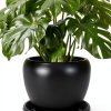 NIMYAU Plant Saucer 5 Pack 6 Inch Black Plastic Tray Indoor Outdoor-6