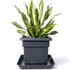 Feyvdzv 6 Inch Square Plant Saucer Tray Durable Plastic 4 Pack Black-5