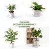 Plant Saucers 3 4 5 6 7 8 9 10 11 12 14 Inch, 5 Pack Clear Plastic Plant Trays for Pots, Durable Plant Water Catcher Tray for Indoors Outdoors (6", Clear)-5
