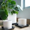 Square Plant Saucer 10" Black NIMYAU Plastic Tray for Indoor Pots-2