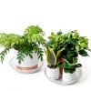 Plant Saucer 6 Inch Clear Plastic 6 Pack by MUDEELA Thicker Stronger-4