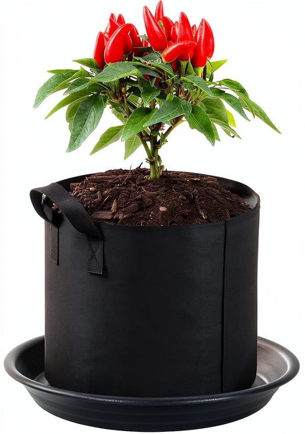 Plant Saucer Pot Tray MSKIAUO 6 Pack Black Plastic Water Catch 6‑inch-5