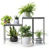 Plant Saucers 3 4 5 6 7 8 9 10 11 12 14 Inch, 5 Pack Clear Plastic Plant Trays for Pots, Durable Plant Water Catcher Tray for Indoors Outdoors (6", Clear)-6