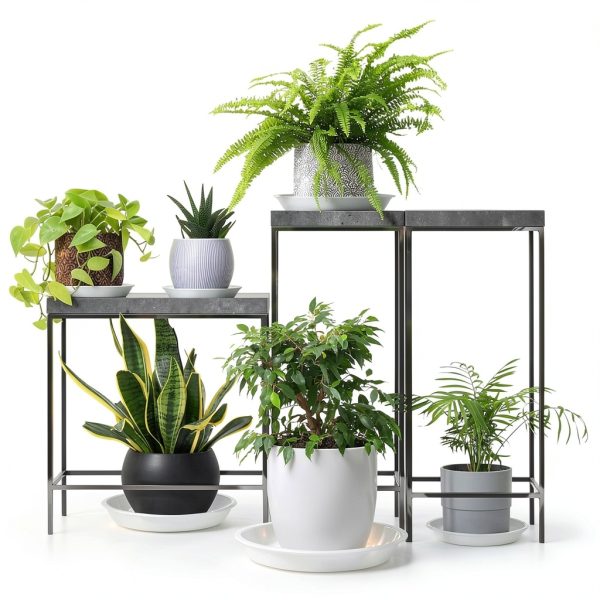 Plant Saucers 3 4 5 6 7 8 9 10 11 12 14 Inch, 5 Pack Clear Plastic Plant Trays for Pots, Durable Plant Water Catcher Tray for Indoors Outdoors (6", Clear)-6