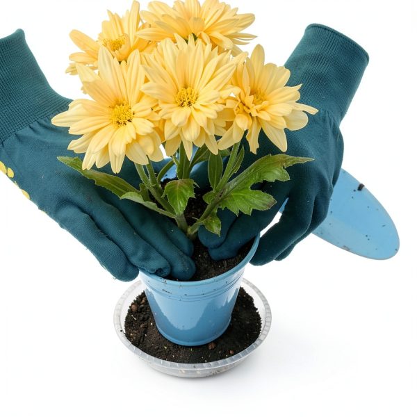 Clear Plant Saucer 5 Inch - FUTUR Plastic Tray Sturdy Water Catcher-5