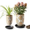 NIMYAU Plant Saucer 5 Pack 6 Inch Black Plastic Tray Indoor Outdoor-2