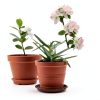 Plant Saucer 10" Brown Heavy-Duty Plastic Tray - TITE 3-Pack-7