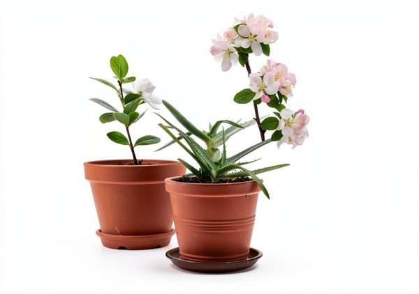 Plant Saucer 10" Brown Heavy-Duty Plastic Tray - TITE 3-Pack-7