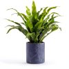 Afrine 6 Pack 4‑Inch Plant Saucer Drip Tray – Heavy Clear Plastic-2