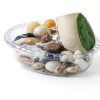 Clear Plant Saucer 5 Inch - FUTUR Plastic Tray Sturdy Water Catcher-4