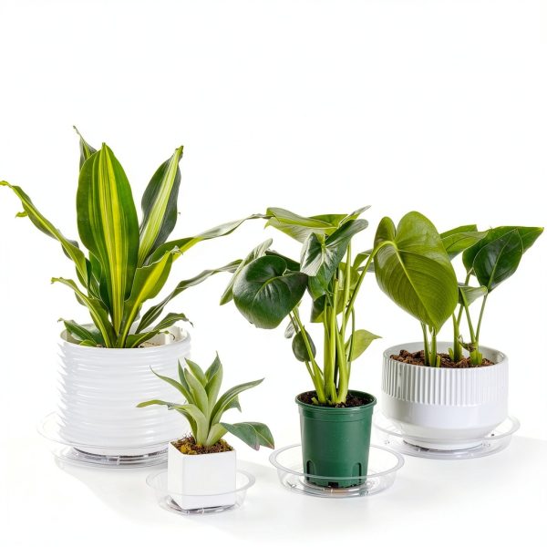 Plant Saucers 24 Pack CATIFLIN Clear Plastic 6-12 Inch Set-1