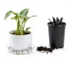 Plant Saucers 24 Pack CATIFLIN Clear Plastic 6-12 Inch Set-5