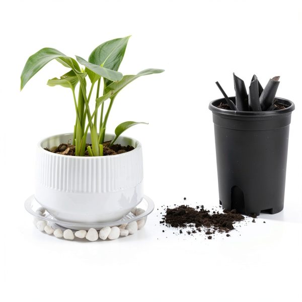 Plant Saucers 24 Pack CATIFLIN Clear Plastic 6-12 Inch Set-5