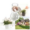 Plant Saucers 24 Pack CATIFLIN Clear Plastic 6-12 Inch Set-6