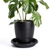 NIMYAU Plant Saucer 5 Pack 6 Inch Black Plastic Tray Indoor Outdoor-4